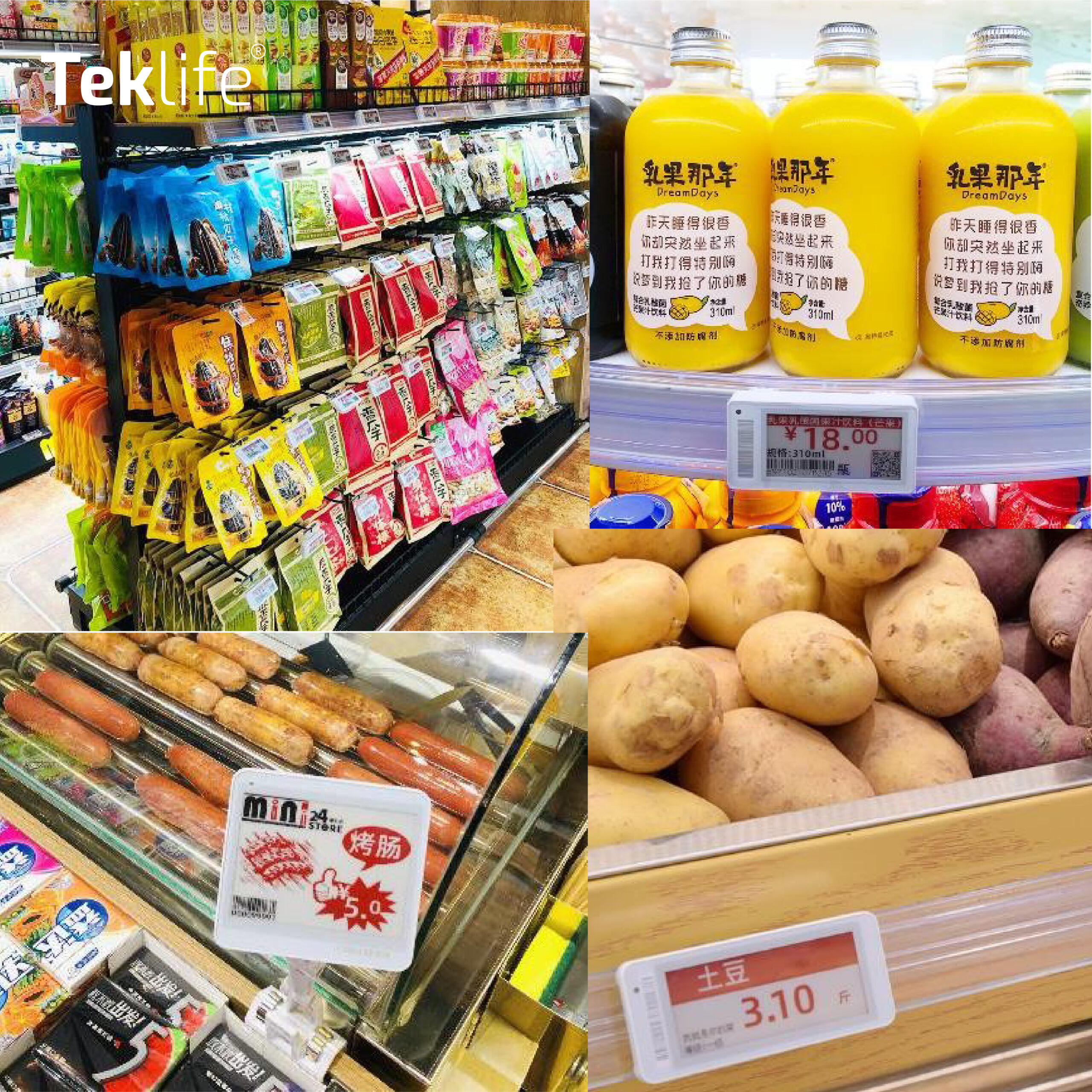 nhãn điện tử esl