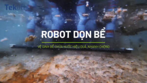 robot dọn bể